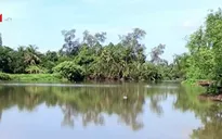 Vũng Liêm (Vĩnh Long) ứng phó mặn xâm nhập bất ngờ
