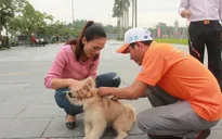 Nghệ An: Tăng cường phòng, chống bệnh dại trong mùa nắng nóng
