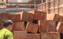 Đắk Lắk truy tìm lái xe chở gỗ lậu tông xe vào lực lượng chức năng