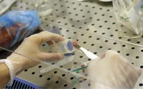 Nhật Bản đẩy mạnh nghiên cứu sản xuất thịt bò nhân tạo