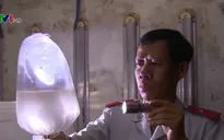 Phát hiện hàng triệu con tôm giống chưa kiểm dịch