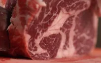 EU tăng thị phần thịt bò Mỹ