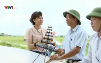 Không khí nhộn nhịp ngày hè tại quê hương của những con diều sáo