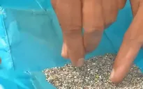 Ngành công nghiệp kim cương Ấn Độ ảnh hưởng từ căng thẳng thương mại Mỹ - Trung