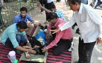 Gần 50 người tử vong do nắng nóng gay gắt ở Ấn Độ