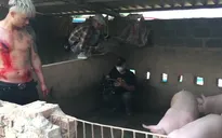Hậu trường "Mê cung": Đoàn phim lội ao, chui vào chuồng lợn giữa trời nắng nóng