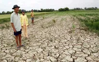 Hôm nay (18/6) diễn ra Hội nghị đánh giá 2 năm triển khai Nghị quyết 120