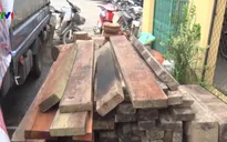 Làm rõ trách nhiệm vụ phá rừng tại Bắc Kạn