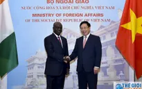 Phó Thủ tướng Phạm Bình Minh hội đàm với Bộ trưởng Ngoại giao Bờ Biển Ngà