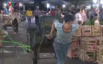 Lao động tự do - Những nguy cơ, rủi ro tiềm ẩn