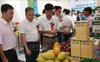 Sơn La xúc tiến xuất khẩu nông sản an toàn sang Trung Quốc