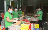 Nhập khẩu rau quả 5 tháng đầu năm tăng gấp rưỡi