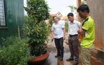 Đắk Lắk: Còn nhiều khó khăn trong công tác phòng chống sốt xuất huyết