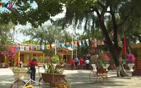 Trường Sa xanh