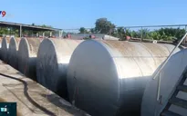 Vì sao xăng giả ngang nhiên có mặt trên thị trường trong nhiều năm?