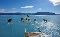Bức ảnh lột tả hiện trạng băng tuyết tại Greenland gần đây