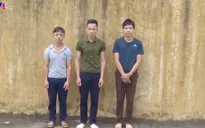 Khởi tố, bắt 3 đối tượng phá rừng tại Bắc Kạn