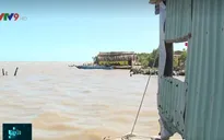 Kiên Giang công bố tình trạng sạt lở đê biển nghiêm trọng