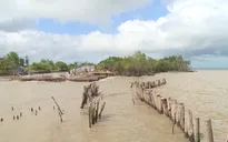 Sạt lở đê biển nghiêm trọng ở Kiên Giang
