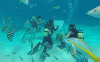 Sáng tác hội họa dưới... đáy biển