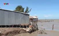 Kiên Giang mất 500 ha đất vì sạt lở bờ biển