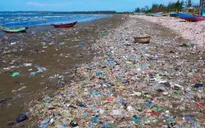 9 ông lớn ngành hàng tiêu dùng: “Đến năm 2030, chúng tôi sẽ tái chế toàn bộ bao bì sản phẩm bán ra thị trường”