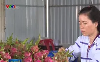 Xuất khẩu nông sản Việt sang Trung Quốc gặp khó trước quy định mới