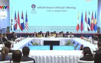 “Việt Nam sẽ tích cực tham gia đóng góp vào nỗ lực chung của ASEAN”