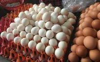 Các siêu thị giảm giá trứng gia cầm