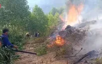 15ha rừng thông tại Nghệ An bị cháy rụi