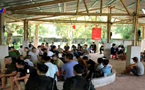 Bắt giữ 66 đối tượng tổ chức đá gà ăn tiền quy mô lớn
