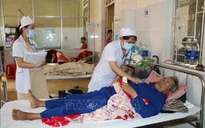 Gia Lai: Số bệnh nhân mắc sốt xuất huyết tăng gấp 3 lần năm ngoái
