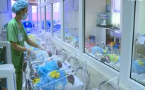 Bộ Y tế siết chặt quy trình trao nhận trẻ, phòng chống mua bán trẻ sơ sinh