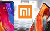 Xiaomi khai tử dòng Mi Max và Mi Note?