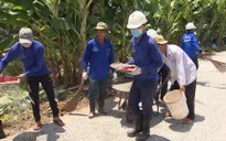 Những hiệp sĩ giao thông trên cù lao Tân Lộc