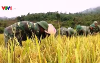 Hàng nghìn người dân biên giới được giúp đỡ thoát nghèo