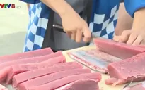 Quảng bá cá ngừ đại dương đến với du khách