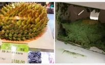 Tai nạn khi mua hàng qua mạng: Đặt bánh sầu riêng 3D, nhận về “quái vật đầm lầy”