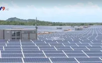 Ninh Thuận: Nhà máy điện mặt trời Thuận Nam 19 hòa lưới điện quốc gia