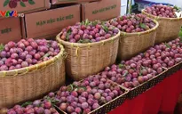 Mở rộng thị trường nông sản tại Sơn La