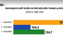 Giá cà phê Arabica tăng mạnh