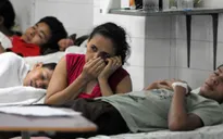 Số người thiệt mạng do sốt xuất huyết tại Honduras tiếp tục tăng