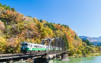 Sự hồi sinh kỳ diệu tại vùng đất thảm họa hạt nhân Fukushima, Nhật Bản