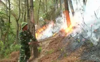Cháy rừng tại Nam Đàn, Nghệ An