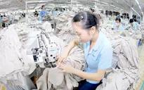 Kỳ vọng của doanh nghiệp với EVFTA