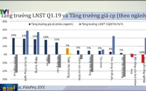 EVS: VN-Index sẽ kết thúc năm 2019 trên 1.000 điểm