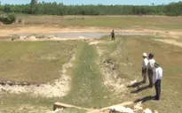 Quảng Trị: Nắng nóng gây khô hạn cho sản xuất nông nghiệp