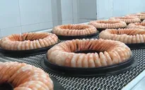 EVFTA mở cơ hội xuất khẩu thủy sản vào châu Âu