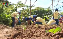 Xây dựng kỹ năng sống cho trẻ vào dịp Hè