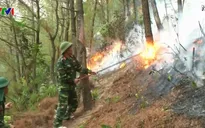 Cháy rừng liên tiếp ở Phú Yên, Nghệ An và Hà Tĩnh